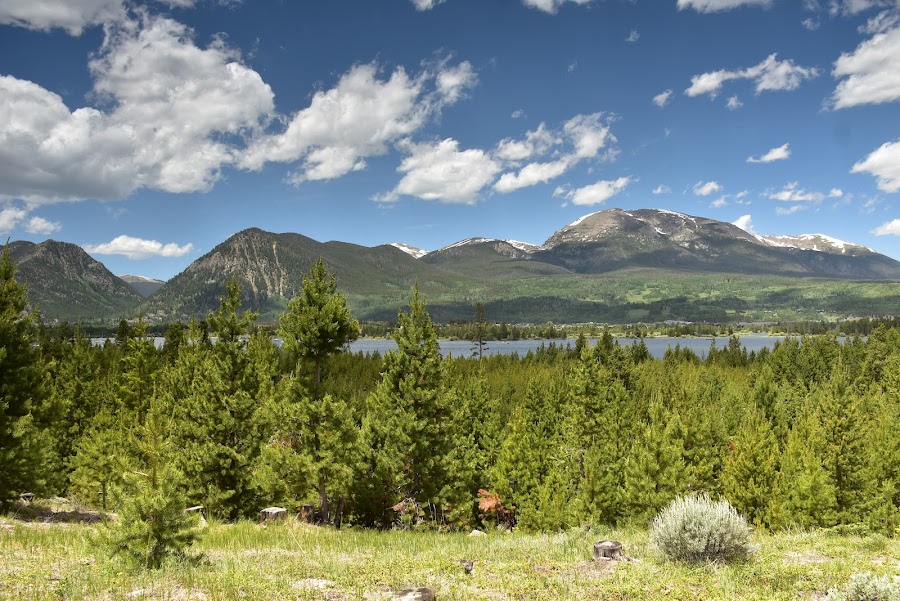 Frisco Adventure Park