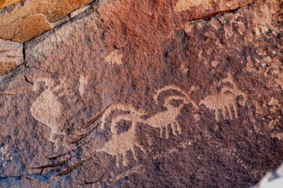 Canyon of the Ancients Guest Ranch