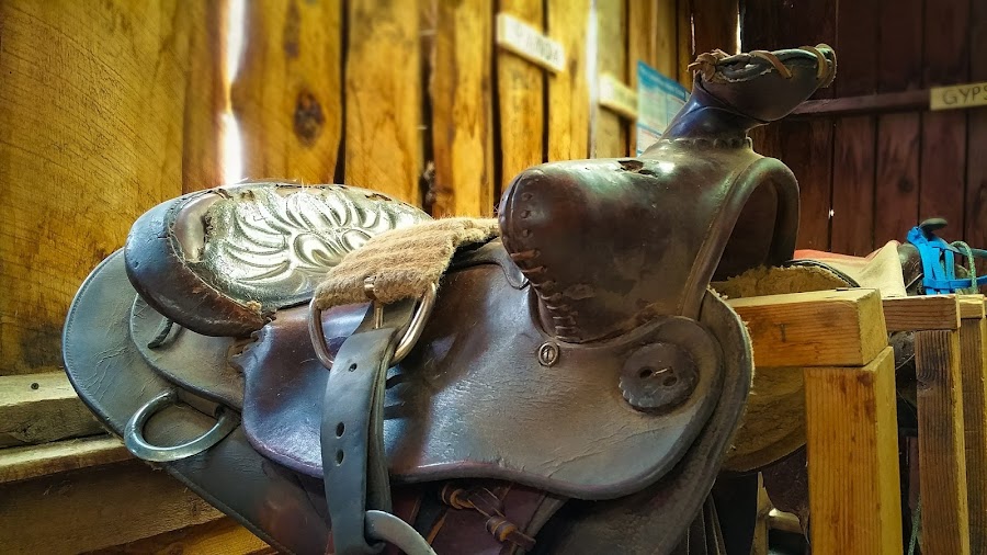 American Safari Ranch