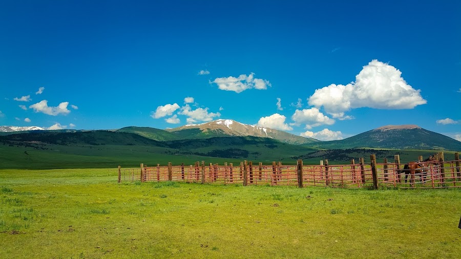 American Safari Ranch