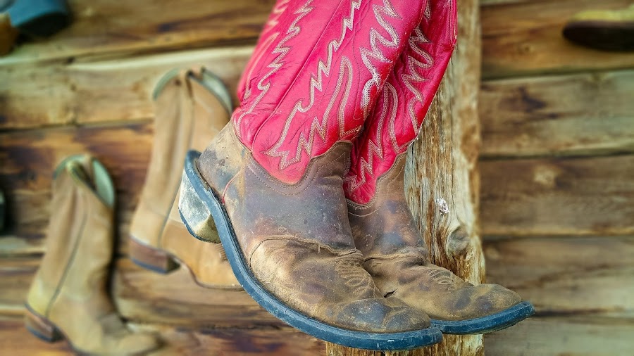 American Safari Ranch