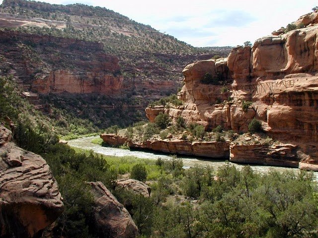 Bill Dvorak Kayak and Rafting Expeditions