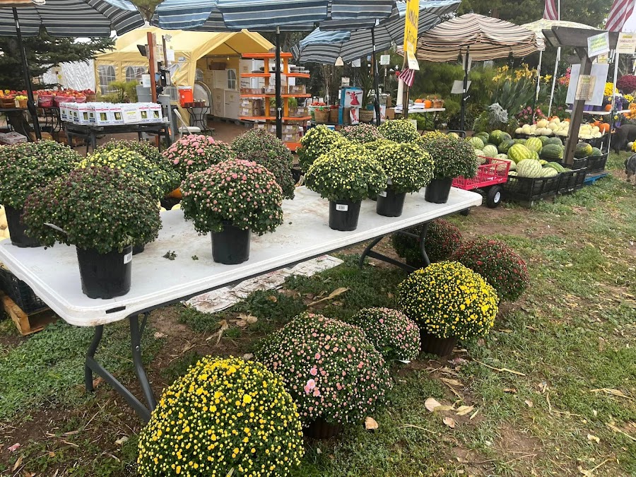FarmStand at Grant Farms