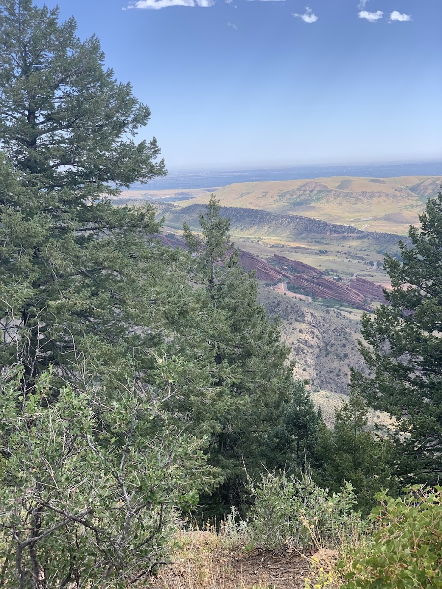 Walker's Dream Lookout