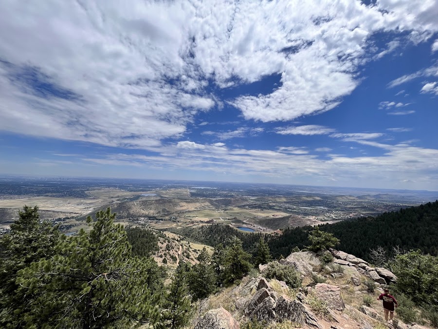 Walker's Dream Lookout