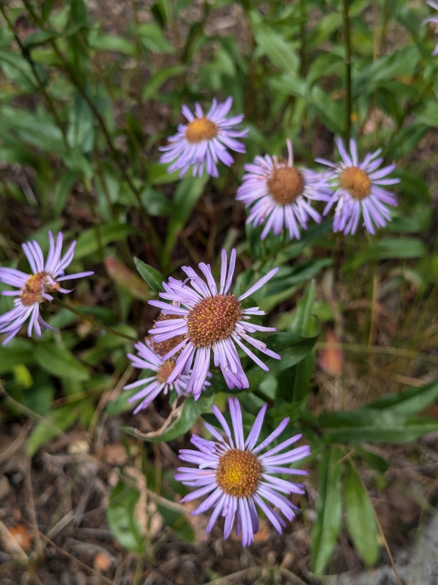 Booth Falls Trailhead