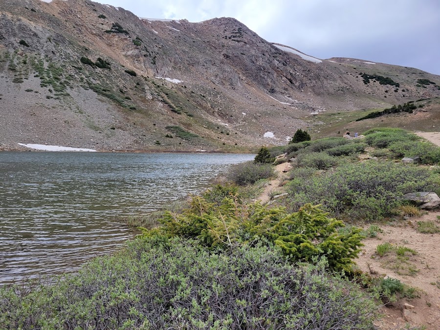 Wildlife Viewing Area