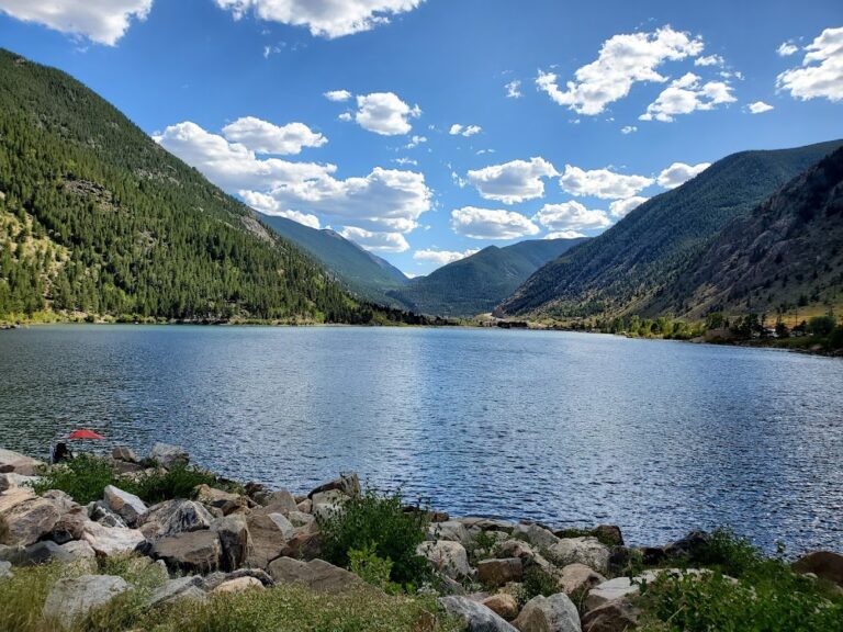 This Simple Roadside Stop Might Be the Best Place in Colorado to See Bighorn Sheep